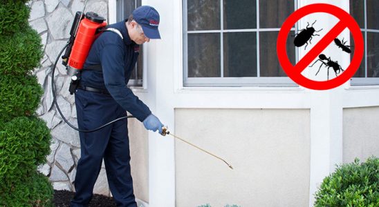 Kurtalan Gümüşkurt İlaçlama böcek ilaçlama ve haşere kontrolü — ilaclama-tr.com